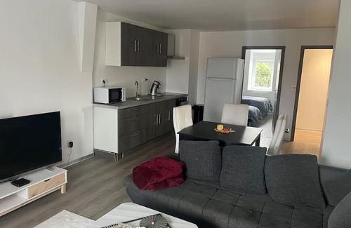Audincourt Apartment | Appartement Moderne 68 m2 2 ch proche centre ville
