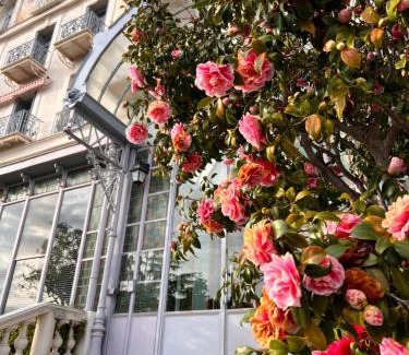 Menton Apartment | Appartement Ombragé 44m2 Riviera Palace Belle-Epoque, Restomod et Literie Prestige