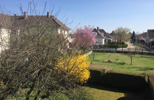 Oberhausbergen Apartment | Appartement Orana