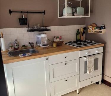 Parc-Chevreul Apartment | Appartement parking Dijon proche centre Wilson