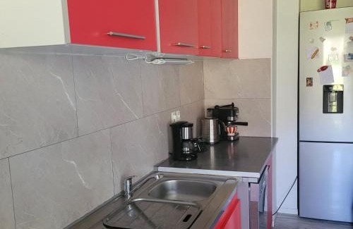 Chateau de l'Hers House | Appartement pechDavid SUD