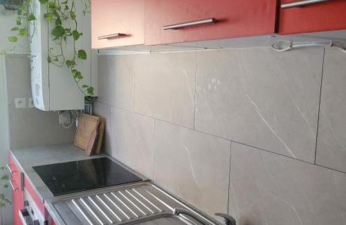 Chateau de l'Hers House | Appartement pechDavid SUD