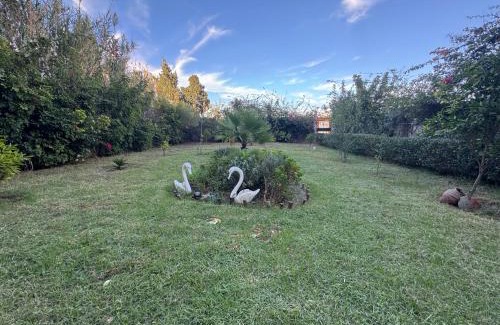 Tanja Balia Apartment | Appartement plage kozah
