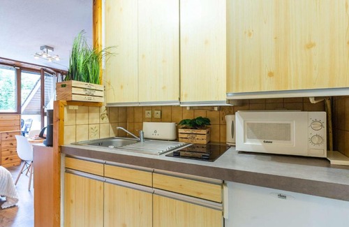 Saint-Lary-Soulan Apartment | Appartement pour 4 personnes avec balcon et garage, proche téléphérique et commerces à Saint-Lary - FR-1-296-478