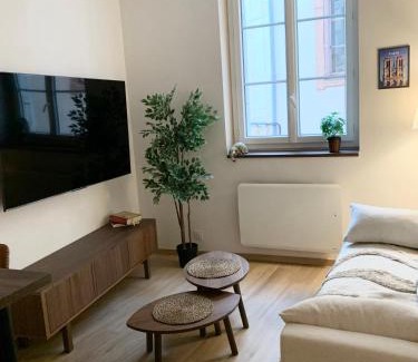 Capitole Apartment | Appartement Puits-Clos - Quartier Capitole