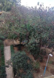 Algiers Apartment | Appartement Résidence pasha bey f3