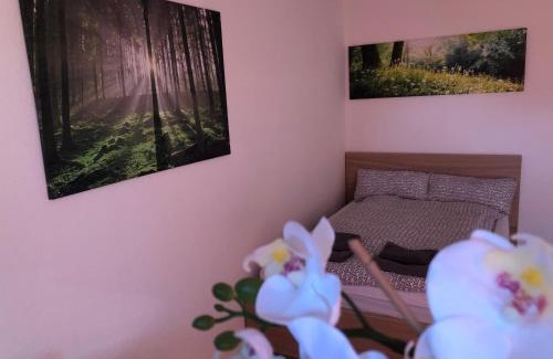 Regensburg Apartment | Appartement Redhouse