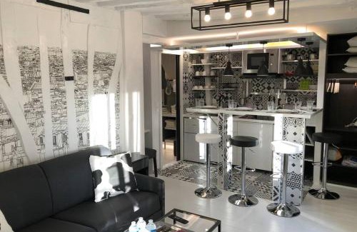 Quartier de l'Ecole-Militaire Apartment | Appartement Rousselet Quartier Bon Marché Paris VIIème