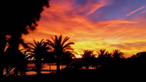 Saint-Laurent-du-Var Apartment | Appartement sur la Plage, Le Royal Beach