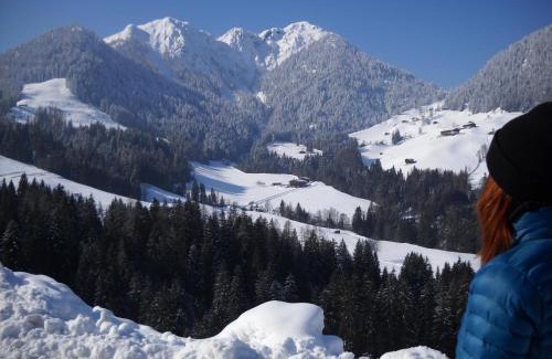 Muhlthal Apartment | Appartement Schilcher