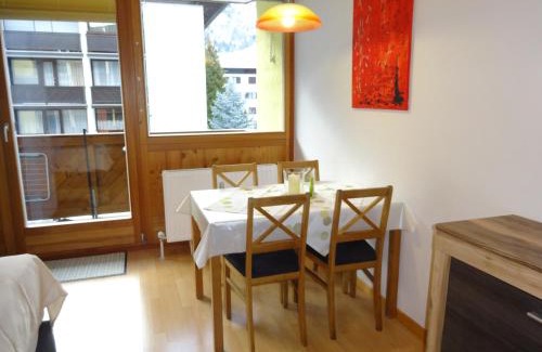 Kaprun Apartment | Appartement Schwarzenbacher