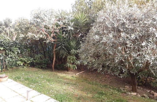 Mougins Apartment | Appartement Situé à Mougins, au Pied de Tous Commerces et à la Limite de Cannes