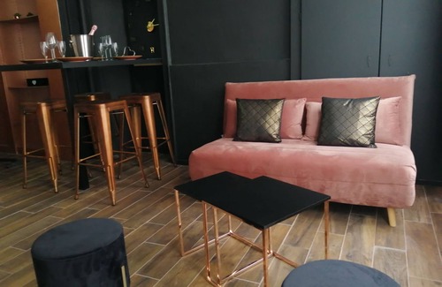 Troyes Apartment | Appartement Spa & Sauna Privatif - Troyes Centre