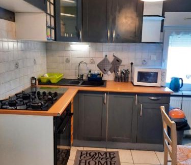 Ingersheim Apartment | Appartement spacieux à Ingersheim avec vue sur jardin, 100 m²