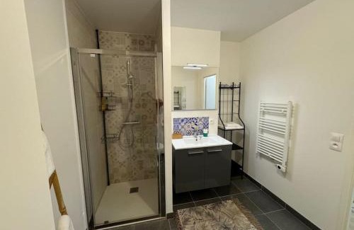 Saint-Jean Eudes Saint-Gilles Apartment | Appartement spacieux avec terrasse