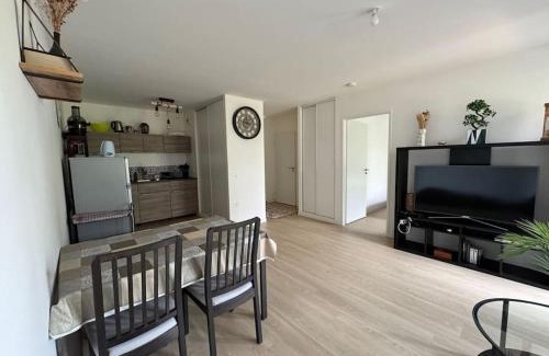 Saint-Jean Eudes Saint-Gilles Apartment | Appartement spacieux avec terrasse