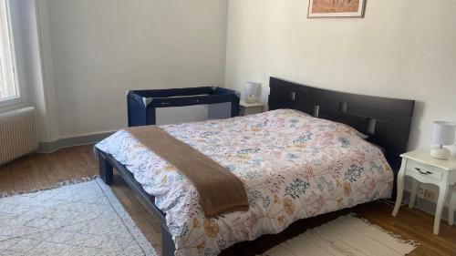 Epinal Apartment | Appartement spacieux cosy centre Epinal !