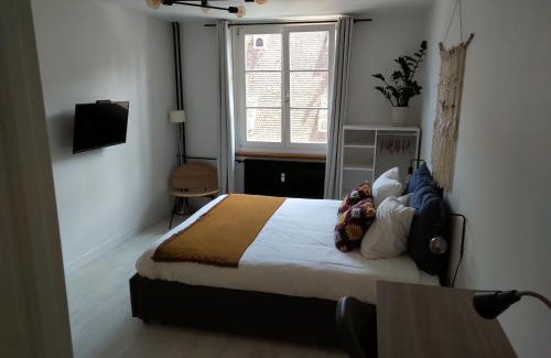 City-Centre - Petite France Apartment | Appartement Spacieux et Cosy - Strasbourg Centre