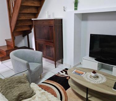 Oloron-Sainte-Marie Apartment | Appartement -T3