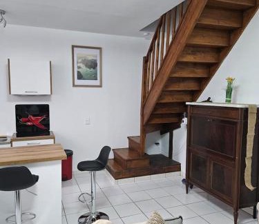 Oloron-Sainte-Marie Apartment | Appartement -T3