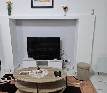 Oloron-Sainte-Marie Apartment | Appartement -T3