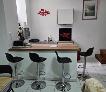 Oloron-Sainte-Marie Apartment | Appartement -T3