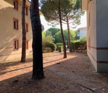 Trois Cocus - Borderouge - Croix-Daurade - Paleficat Apartment | Appartement T1 Résidence Sporting 1er étage