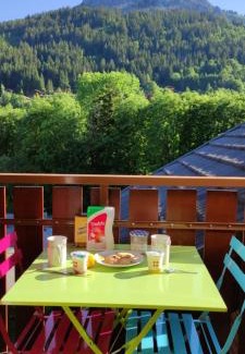 Bernex Apartment | Appartement T2 à BERNEX avec WiFi, vue sur montagne