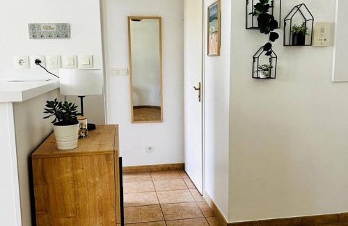 Cambo-les-Bains Apartment | Appartement T2 à Cambo-les-Bains, RDC, piscine, proche thermes, wifi, parking privé, non-fumeur. - FR-1-495-33