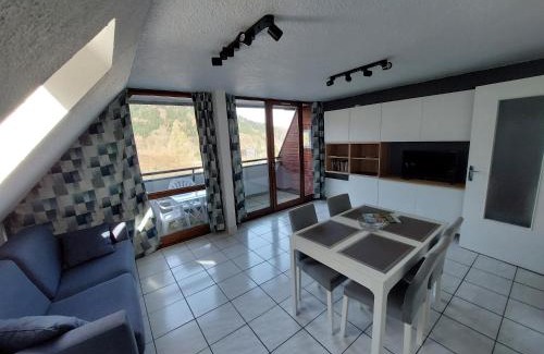 Mont-Dore Apartment | Appartement T2 45m² avec terrasse - 4/6 personnes