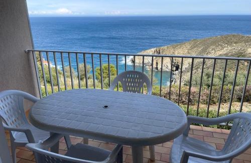 Banyuls-sur-Mer Apartment | Appartement T2 Climatisé Vue sur Mer BANYULS SUR MER