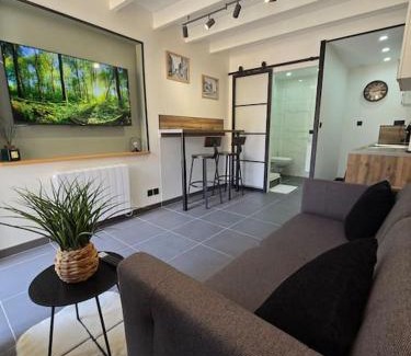La Verpilliere Apartment | Appartement T2 en duplex