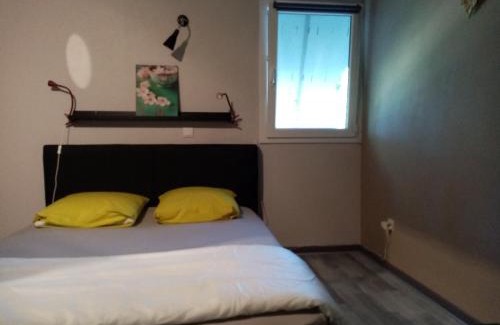 Vieille-Brioude Apartment | Appartement terrasse +parking