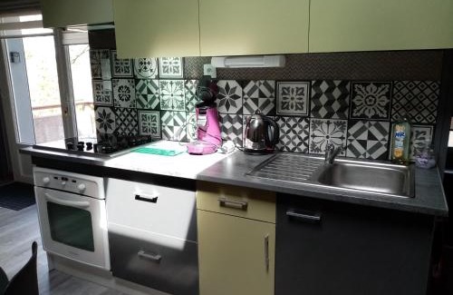 Vieille-Brioude Apartment | Appartement terrasse +parking