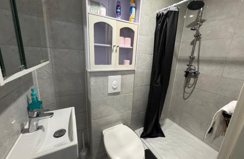 Benfeld Apartment | Appartement vacances