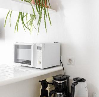 3rd Arrondissement Apartment | Appartement Vertus
