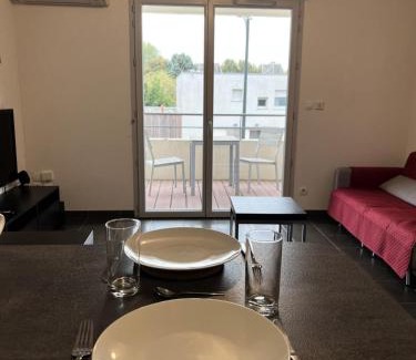 Bourrassol Apartment | Appartements à Toulouse - Skywalker - SKYGUDTLS01 MAE-7351