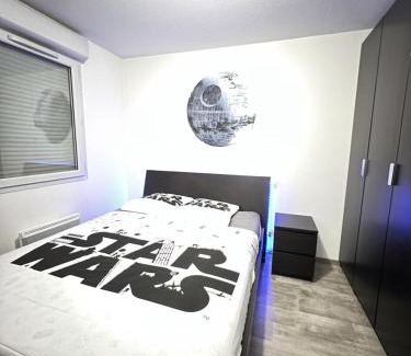 Bourrassol Apartment | Appartements à Toulouse - Skywalker - SKYGUDTLS01 MAE-7351