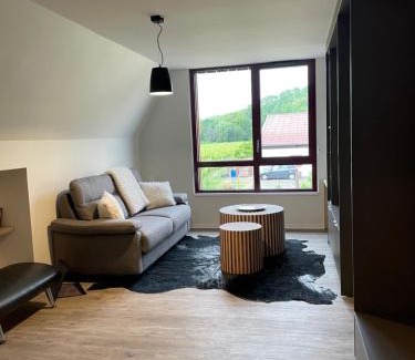Kientzheim Apartment | Appartements de Manon au cœur des vignes