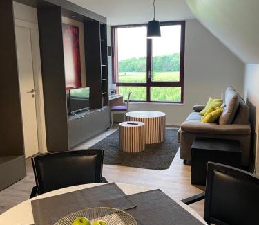 Kientzheim Apartment | Appartements de Manon au cœur des vignes
