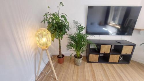 Tournai Apartment | Appartements Entiers - Centre de Tournai