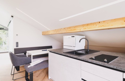 Zell am See Apartment | Appartements Prielau - Penthouse