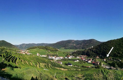 Spitz Apartment | Appartements Setzbergblick