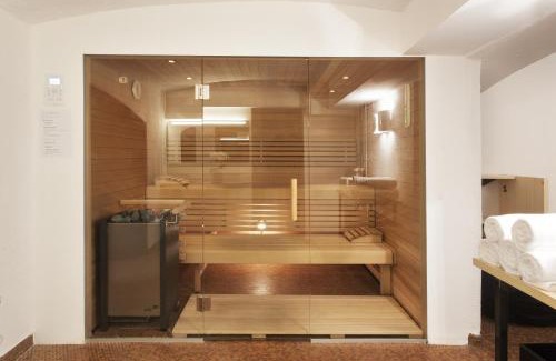 Zell am See Apartment | Appartements Steiner - SKI IN - SKI OUT