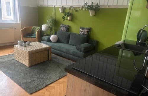 Jena-West Apartment | Appartment im Villenviertel