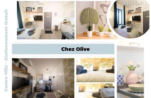 Vieux Vichy Apartment | AppartUnique - Résidence Bardiaux