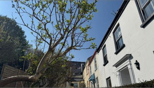 Appledore House | Appledore Normas Cottage 2 bedrooms