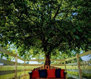 Talent House | Applinger Farm