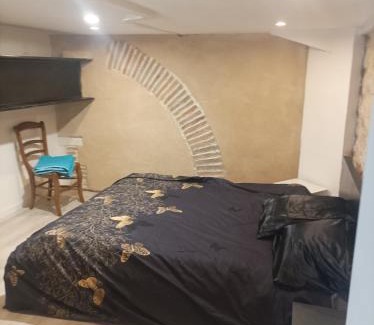 Graulhet Apartment | Appt climatisé, 4 à 6 couchages Tarn, Albi, Gaillac, Cordes, Wifi gratuit, boîte à clés, proche commodités et gare routière