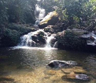 Adimaly House | April Cottage Munnar Adimali